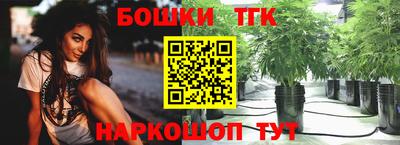 дурь Камышлов