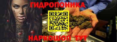 дурь Камышлов