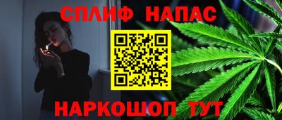дурь Камышлов